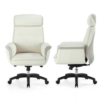 Καρέκλα Γραφείου - Eureka Ergonomic® ERK-OC-003-OW Royal Λευκό