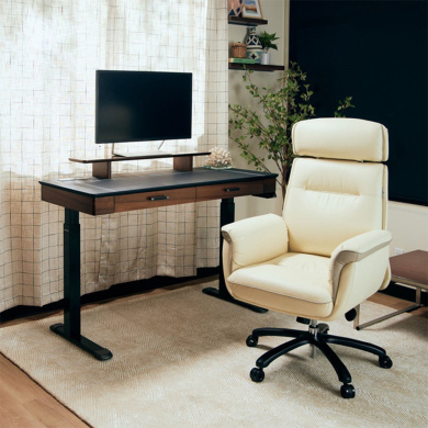 Καρέκλα Γραφείου - Eureka Ergonomic® ERK-OC-003-OW Royal Λευκό